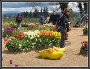 Oregon Flower Festivals 2017