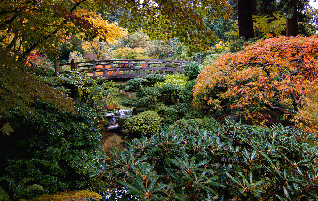 Portland Japanese garden