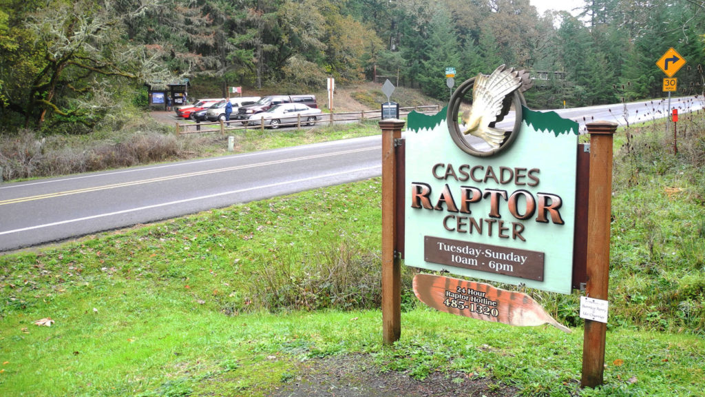 Cascade Raptor Center