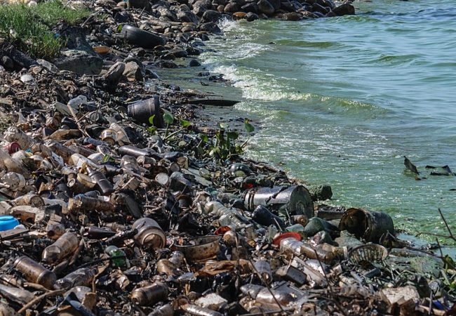 Over 200 Nations Pledge to Clamp Down on Plastic Waste in Oceans